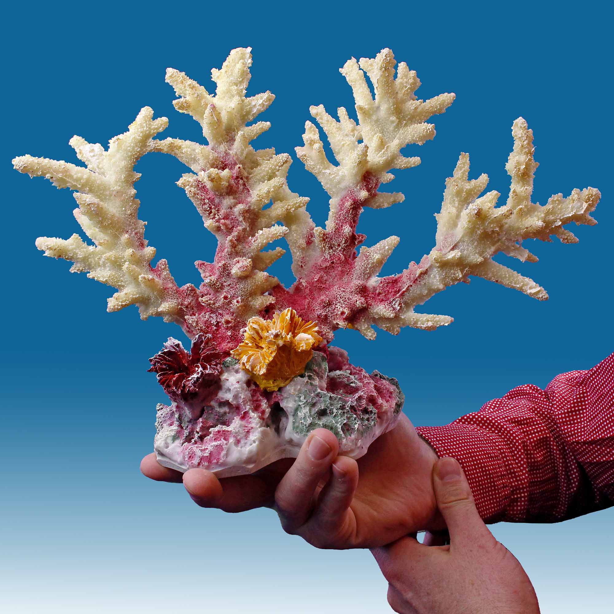 Coral faux decor white XL